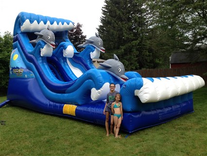 Dolphin inflatable hot sale water slide