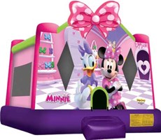 Minnie Mouse and Daisy Duck Bounce House Rental